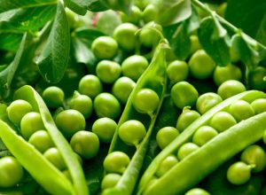 essential foods for human nutrition